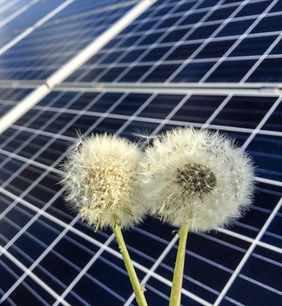 Photovoltaikanlage und nachhaltige Energielösungen für Gewerbe und Industrie